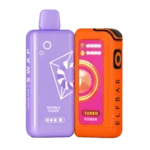 Elfbar SWAP 25k Puffs Double Grape Fullkit