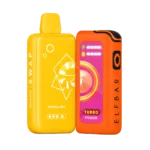 Elfbar SWAP 25k Puffs Mango Mix Fullkit